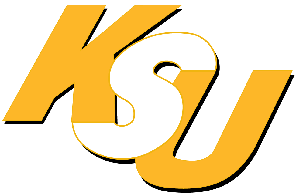 Kennesaw State Owls 0-2011 Wordmark Logo v2 DIY iron on transfer (heat transfer)